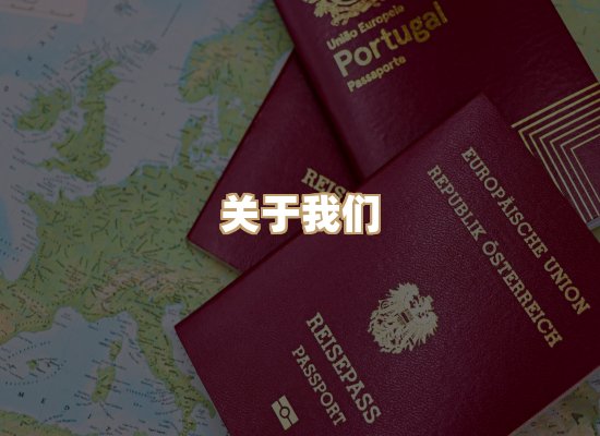 关于至岚排版网